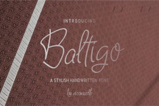 Baltigo: A Friendly Script Font That Brings Words to Life