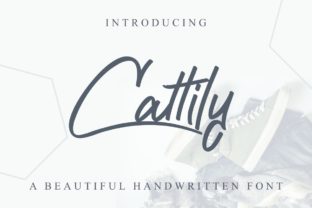 Cattily: Getting the Most from This Casual Script Font Without the Common Errors
