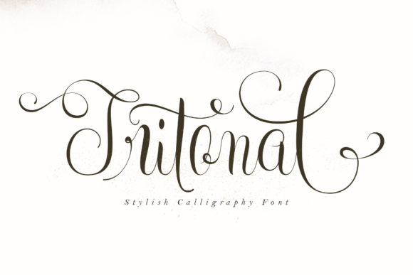 Tritonal: Where Calligraphic Tradition Meets Contemporary Precision